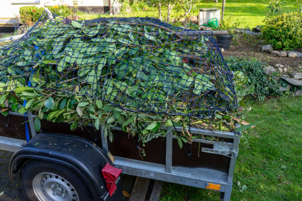 Best Residential Junk Removal  in Treasure Island, FL